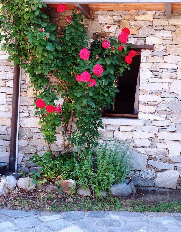 Villa Casa Cicala à Trarego Extérieur photo